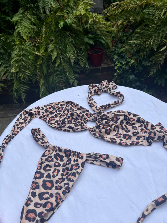 Pre-Order for our Luxury Leopard bikini set